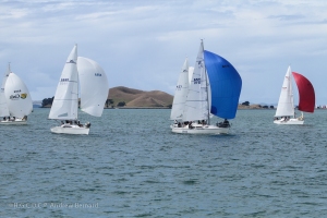 One day we rode past a sailing regatta, which was fun to watch. Several yachts seen here with Motukorea, one of Auckland's 40+ volcanoes, in the background.