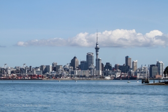 The memorable Auckland skyline, dominated by the Sky Tower in the middle.